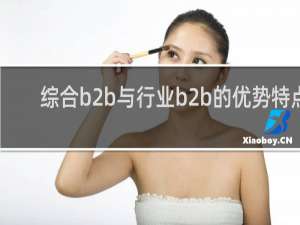 综合b2b与行业b2b的优势特点