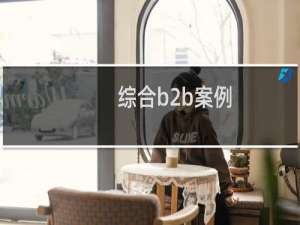 综合b2b案例
