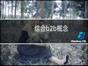 综合b2b概念