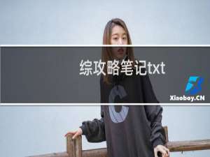 综攻略笔记txt