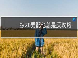 综 男配他总是反攻略