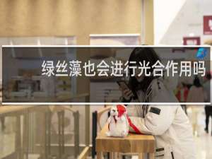 绿丝藻也会进行光合作用吗