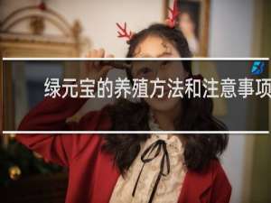 绿元宝的养殖方法和注意事项