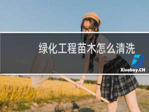 绿化工程苗木怎么清洗