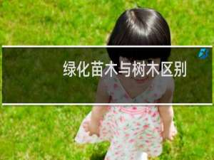 绿化苗木与树木区别