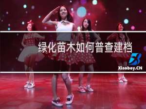 绿化苗木如何普查建档