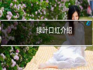 绿叶口红介绍