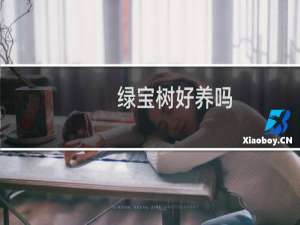 绿宝树好养吗