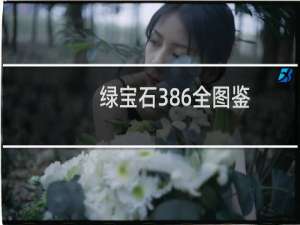 绿宝石386全图鉴（绿宝石386攻略）