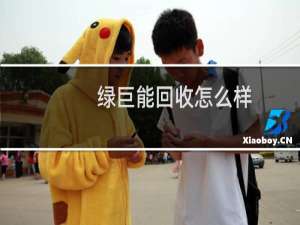 绿巨能回收怎么样