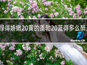 绿得娇嫩 黄的蓬勃 蓝得多么醉人仿写