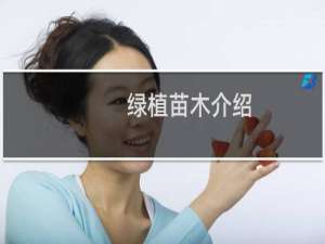 绿植苗木介绍