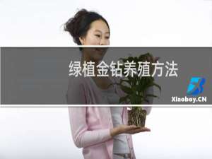 绿植金钻养殖方法