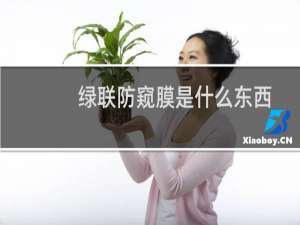 绿联防窥膜是什么东西