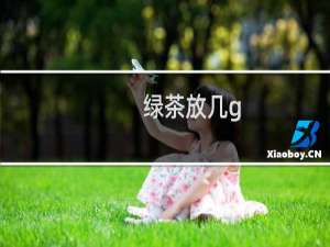 绿茶放几g