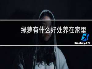 绿萝有什么好处养在家里