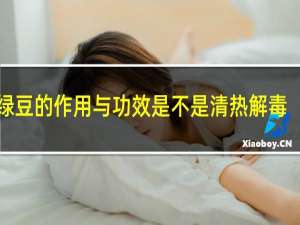 绿豆的作用与功效是不是清热解毒