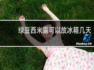 绿豆西米露可以放冰箱几天