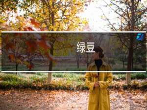 绿豆（杜尔伯特蒙古族自治县特产）