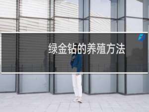 绿金钻的养殖方法