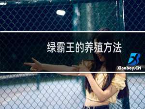 绿霸王的养殖方法