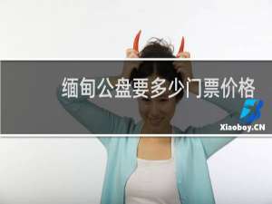 缅甸公盘要多少门票价格