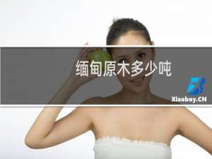 缅甸原木多少吨