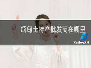 缅甸土特产批发商在哪里