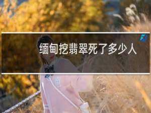 缅甸挖翡翠死了多少人