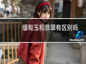 缅甸玉和翡翠有区别吗