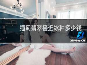 缅甸翡翠接近冰种多少钱