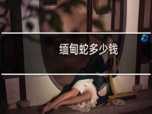 缅甸蛇多少钱