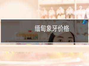 缅甸象牙价格