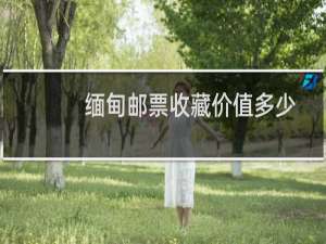 缅甸邮票收藏价值多少
