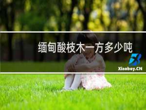 缅甸酸枝木一方多少吨