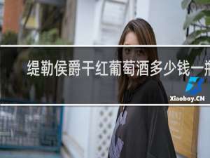 缇勒侯爵干红葡萄酒多少钱一瓶