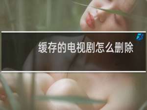 缓存的电视剧怎么删除