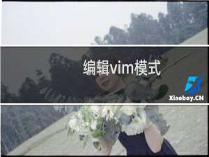 编辑vim模式