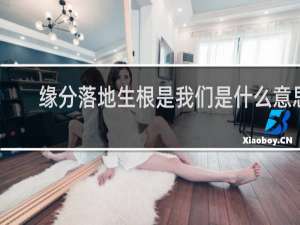 缘分落地生根是我们是什么意思
