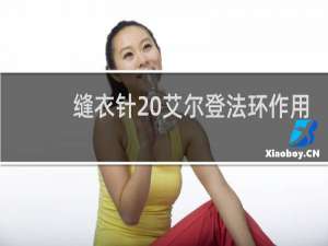 缝衣针 艾尔登法环作用