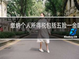 缴纳个人所得税包括五险一金吗