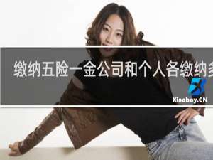 缴纳五险一金公司和个人各缴纳多少