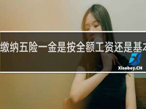 缴纳五险一金是按全额工资还是基本工资