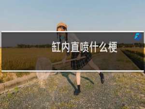 缸内直喷什么梗？缸内直喷是什么意思什么梗