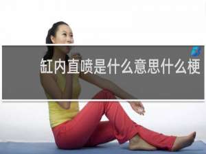 缸内直喷是什么意思什么梗