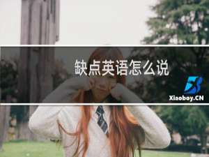 缺点英语怎么说