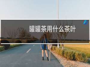 罐罐茶用什么茶叶