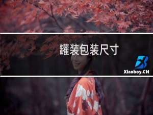 罐装包装尺寸