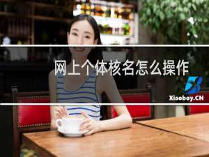 网上个体核名怎么操作