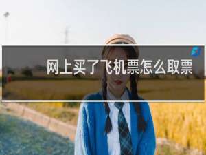 网上买了飞机票怎么取票